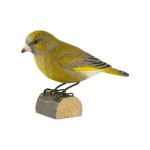 Grønnfink decobird Wildlife Garden