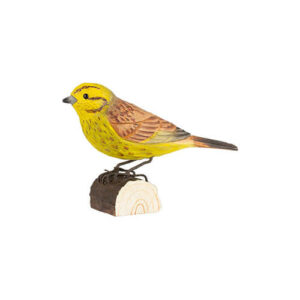 Gulspurv decobird Wildlife Garden