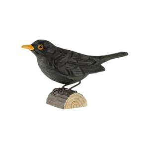 Svarttrost decobird Wildlife Garden
