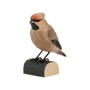 Sidesvømmer decobird Wildlife Garden