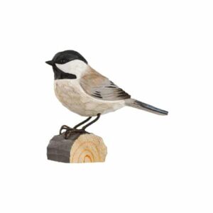 Amerikansk Talltita decobird Wildlife Garden