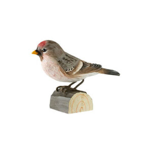 Gråsisik Decobird Wildlife Garden