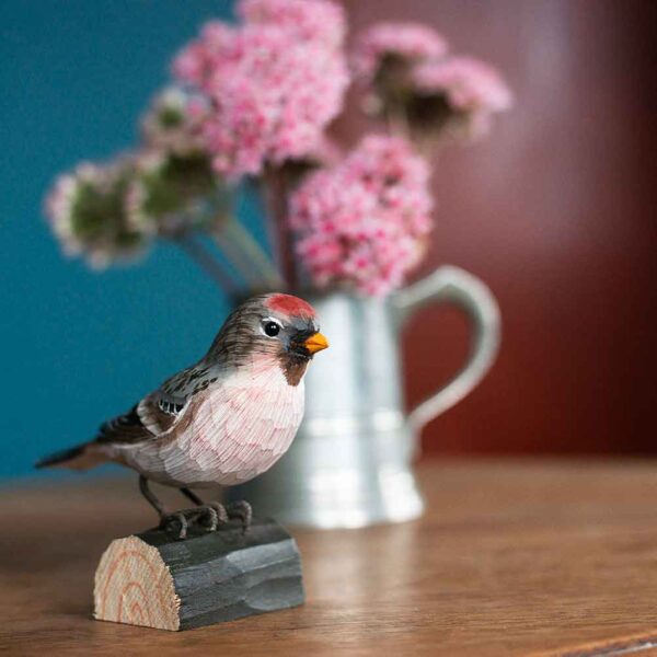 Gråaktig Decobird Wildlife Garden på bordet