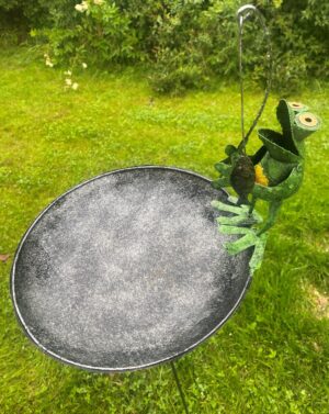 Frosk i fuglebad